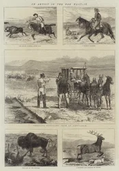 An Artist in the Far West, II
